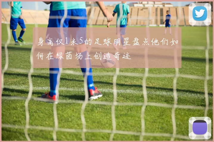 身高仅1米5的足球明星盘点他们如何在绿茵场上创造奇迹