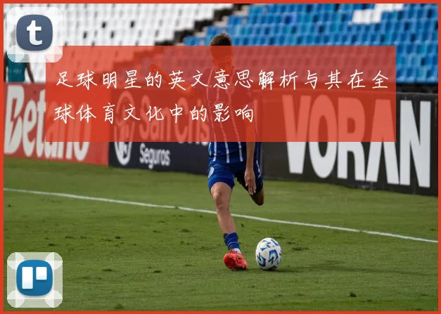 足球明星的英文意思解析与其在全球体育文化中的影响