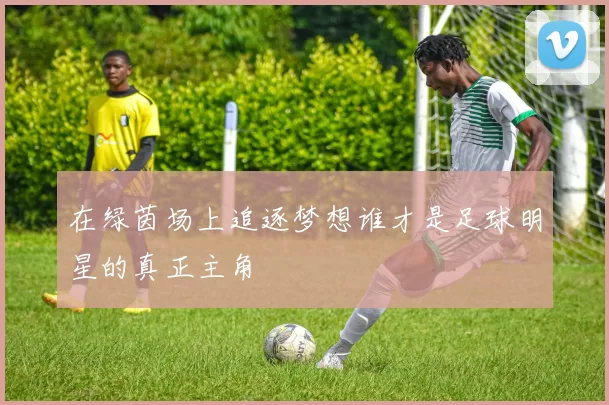 在绿茵场上追逐梦想谁才是足球明星的真正主角
