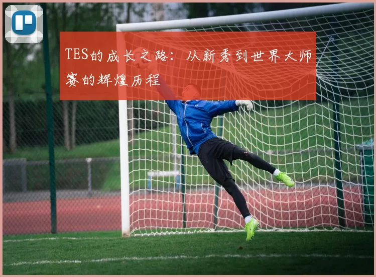 TES的成长之路：从新秀到世界大师赛的辉煌历程