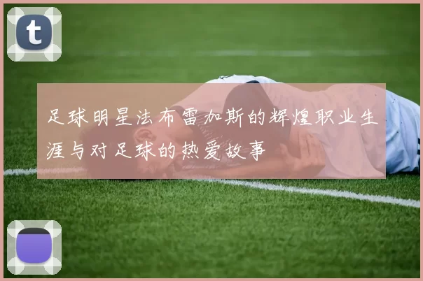 足球明星法布雷加斯的辉煌职业生涯与对足球的热爱故事