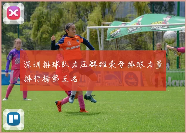深圳排球队力压群雄荣登排球力量排行榜第五名