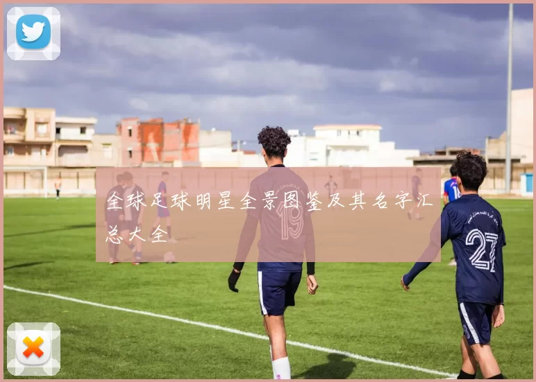 全球足球明星全景图鉴及其名字汇总大全