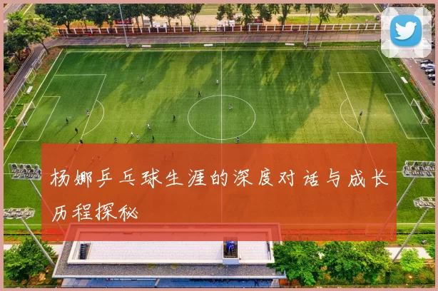 杨娜乒乓球生涯的深度对话与成长历程探秘
