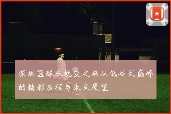 深圳篮球队蜕变之旅从低谷到巅峰的精彩历程与未来展望