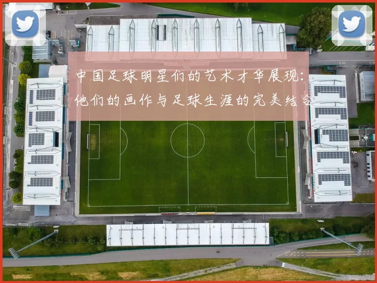 中国足球明星们的艺术才华展现:他们的画作与足球生涯的完美结合