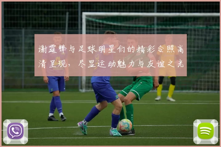 谢霆锋与足球明星们的精彩合照高清呈现，尽显运动魅力与友谊之光