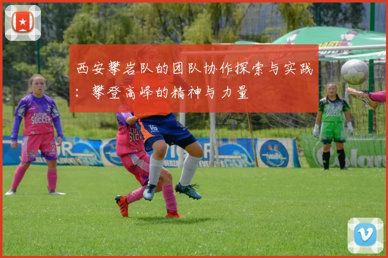西安攀岩队的团队协作探索与实践：攀登高峰的精神与力量
