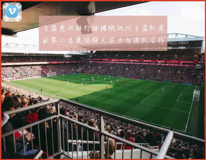 飞盘意识排行榜揭晓杭州飞盘队荣获第二名展现强大实力与团队合作精神