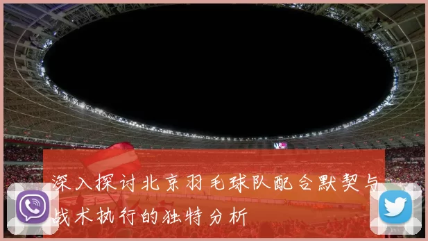 深入探讨北京羽毛球队配合默契与战术执行的独特分析