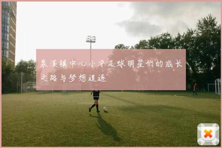 泉溪镇中心小学足球明星们的成长之路与梦想追逐