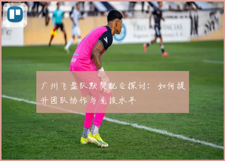 广州飞盘队默契配合探讨：如何提升团队协作与竞技水平