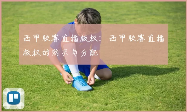 西甲联赛直播版权：西甲联赛直播版权的购买与分配