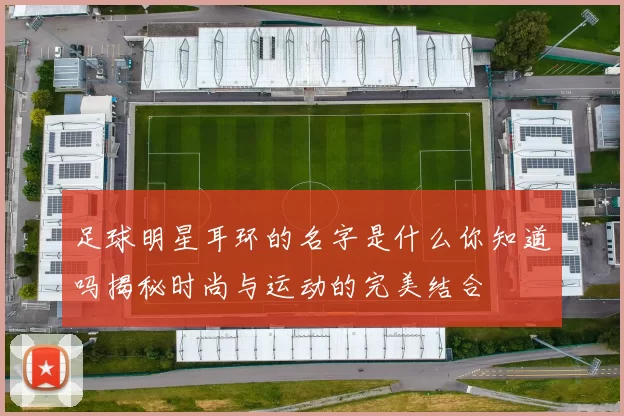 足球明星耳环的名字是什么你知道吗揭秘时尚与运动的完美结合