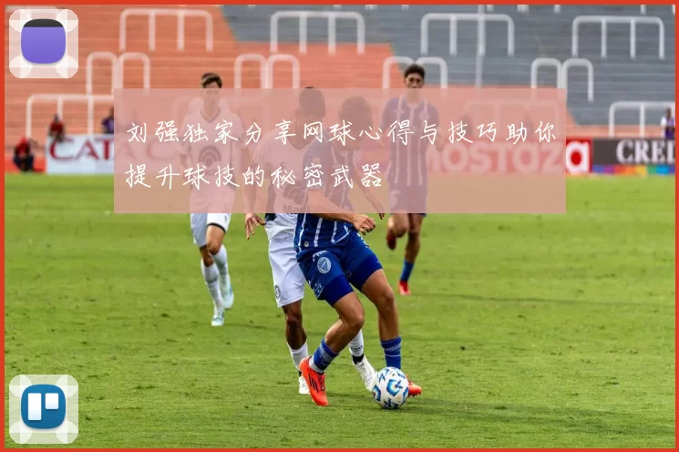 刘强独家分享网球心得与技巧助你提升球技的秘密武器