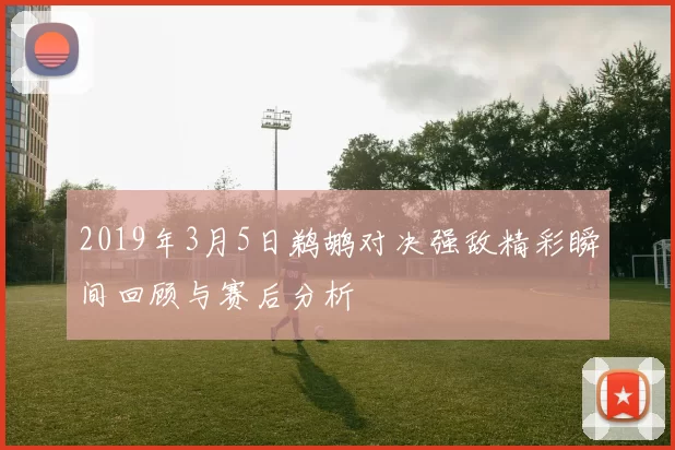 2019年3月5日鹈鹕对决强敌精彩瞬间回顾与赛后分析