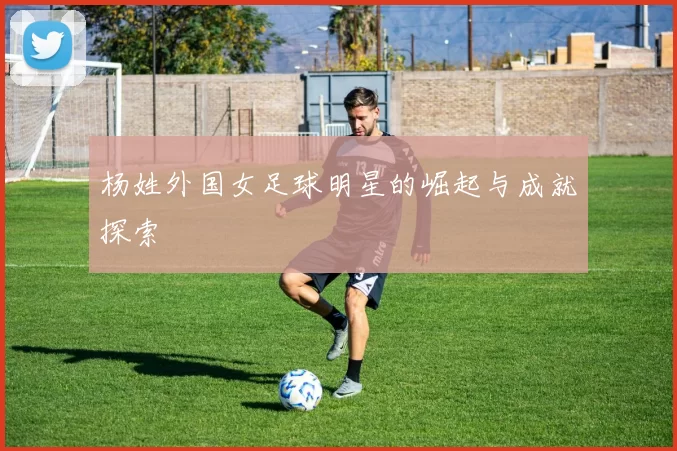 杨姓外国女足球明星的崛起与成就探索