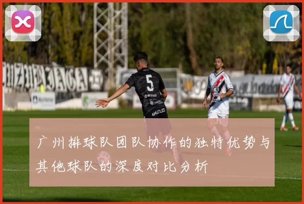 广州排球队团队协作的独特优势与其他球队的深度对比分析