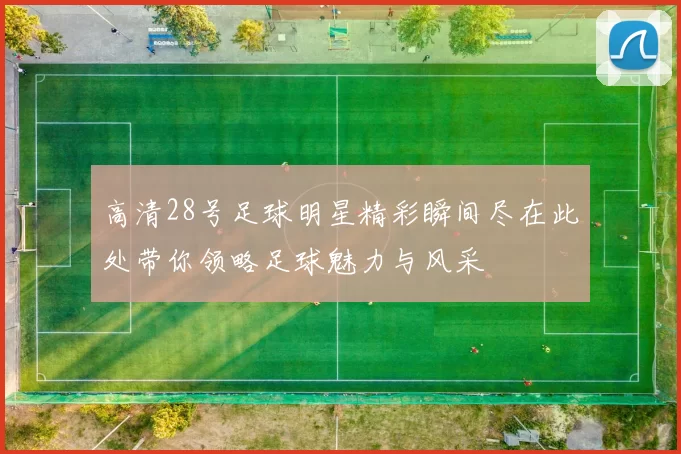 高清28号足球明星精彩瞬间尽在此处带你领略足球魅力与风采