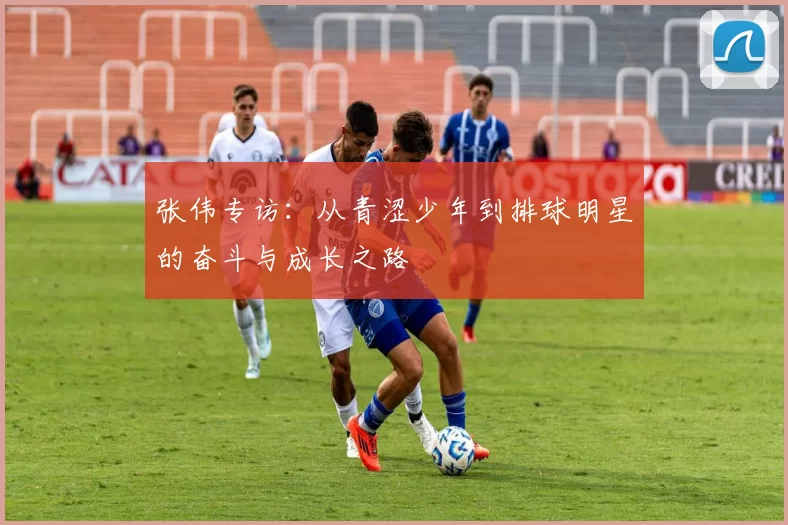 张伟专访：从青涩少年到排球明星的奋斗与成长之路