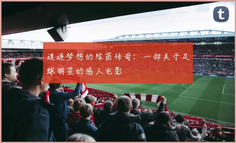 追逐梦想的绿茵传奇：一部关于足球明星的感人电影