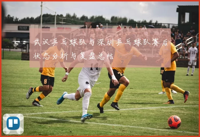 武汉乒乓球队与深圳乒乓球队赛后状态分析与复盘总结