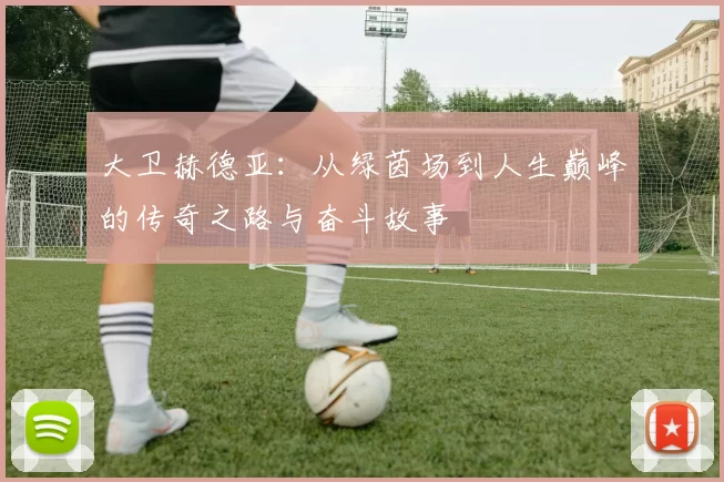 大卫赫德亚：从绿茵场到人生巅峰的传奇之路与奋斗故事
