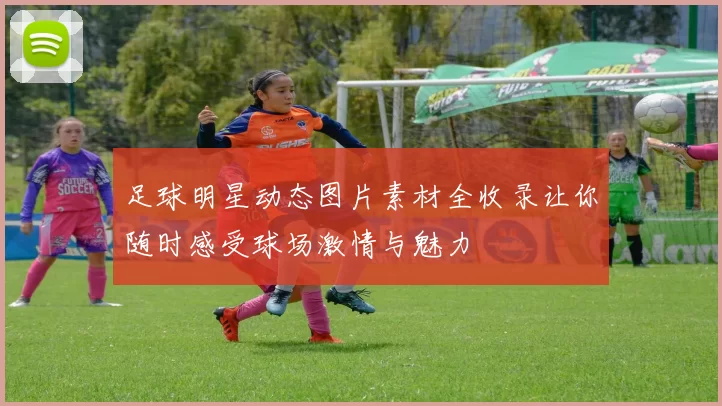 足球明星动态图片素材全收录让你随时感受球场激情与魅力