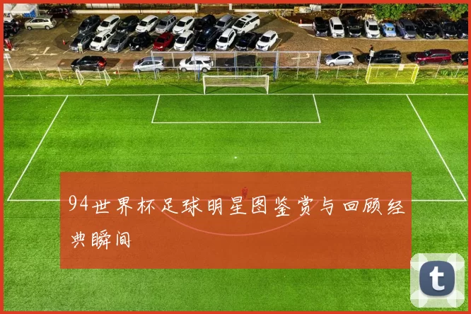 94世界杯足球明星图鉴赏与回顾经典瞬间