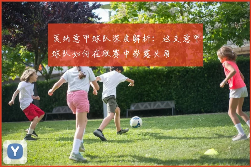莫纳意甲球队深度解析：这支意甲球队如何在联赛中崭露头角